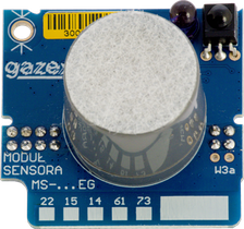 MS-22.EG-EN