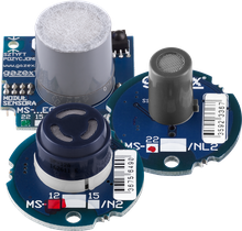 MS-24.EG-EN