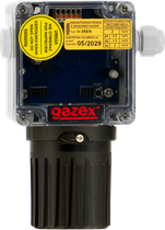 Measurement & threshold gas detectors DG/EM